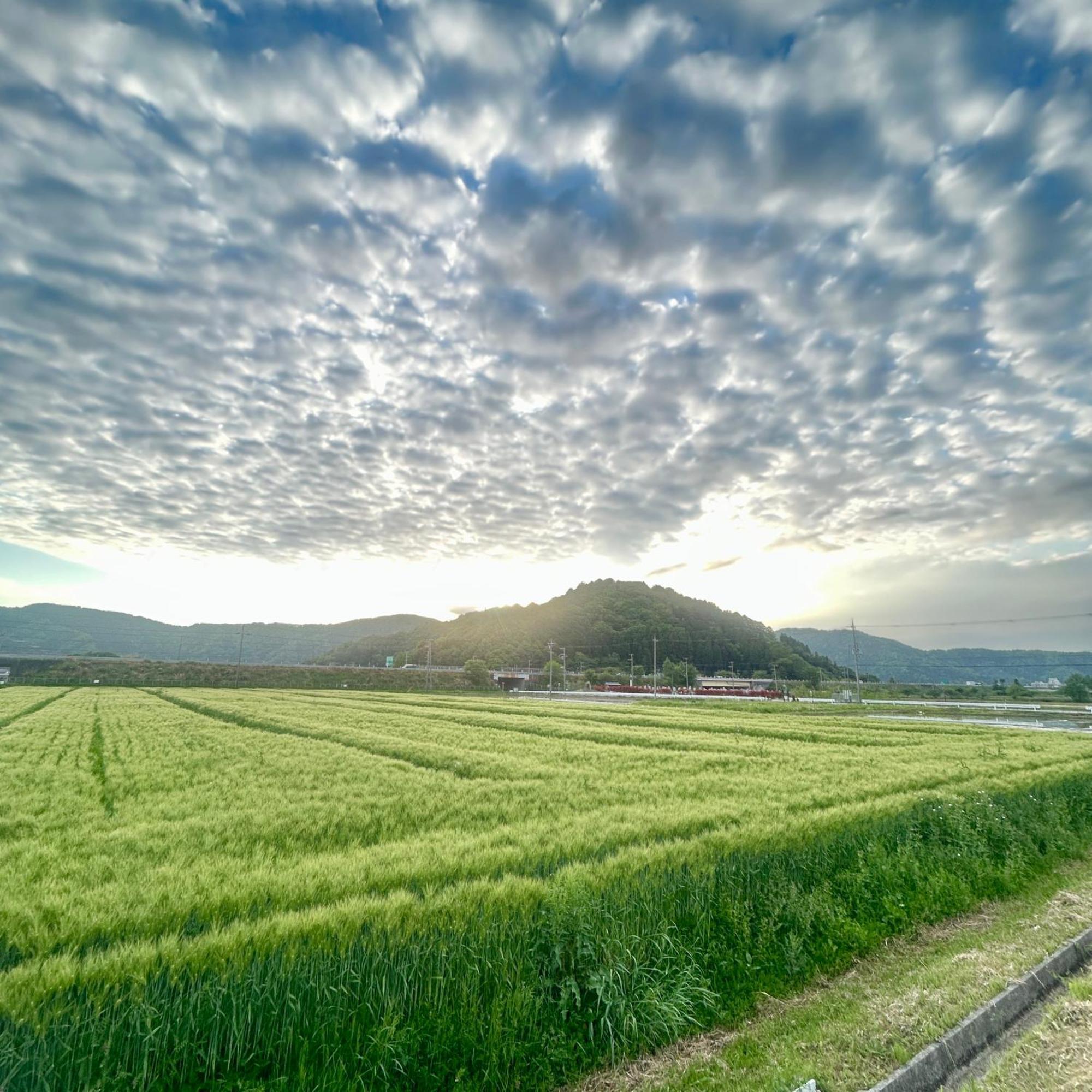 湖北 寺の宿-去-来-現ko-Rai-Gen Nagahama  Esterno foto
