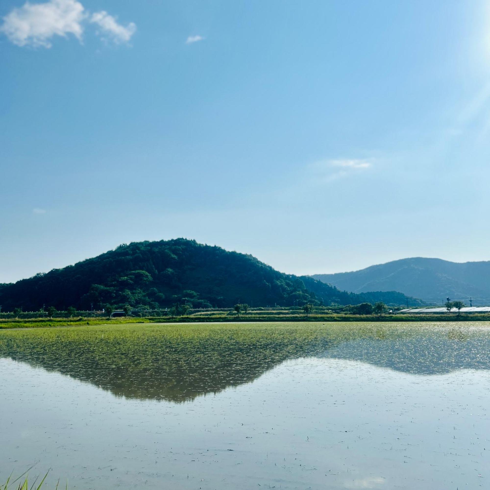 湖北 寺の宿-去-来-現ko-Rai-Gen Nagahama  Esterno foto